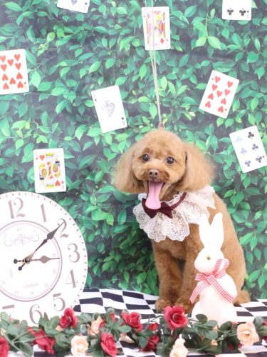 20250419このはちゃん